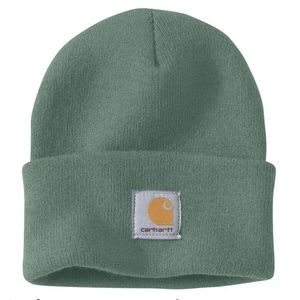 carhartt sage beanie